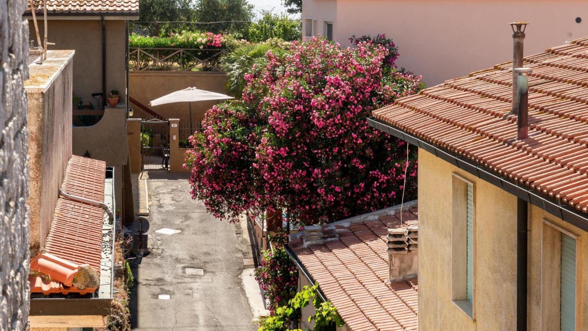 Hotel Il Telamonio ตาลาโมเน ภายนอก รูปภาพ